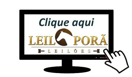 Leilao Ao Vivo