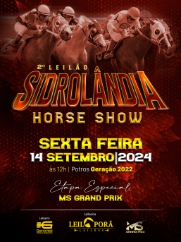 2º LEILAO SIDROLÂNDIA HORSE SHOW