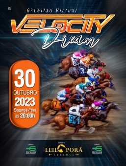 6º LEILÃO VIRTUAL VELOCITY DREAM