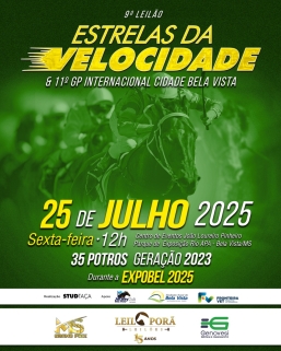 Leilao