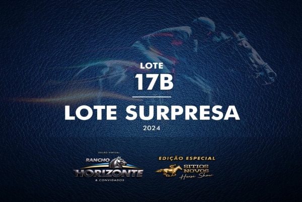 LOTE SURPRESA